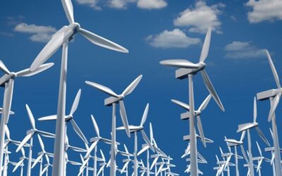 Energia Eolica | come funzionano le pale